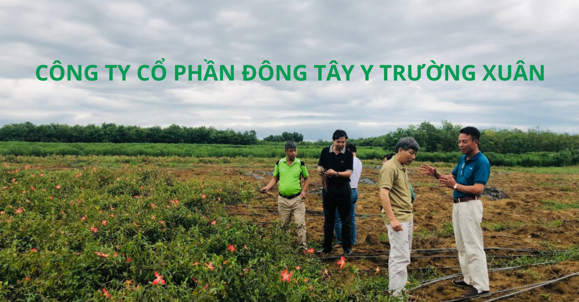 Lễ Công bố Thành lập và ra mắt Ban lãnh đạo  Công ty Cổ phần Thương mại Đông y Trường Xuân